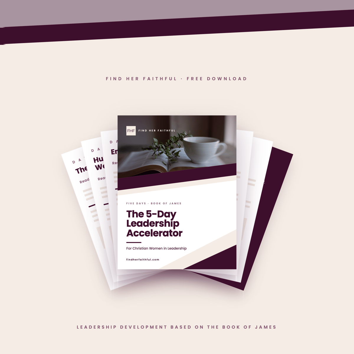 5-Day Leadership Accelerator guide fanned out with cover art